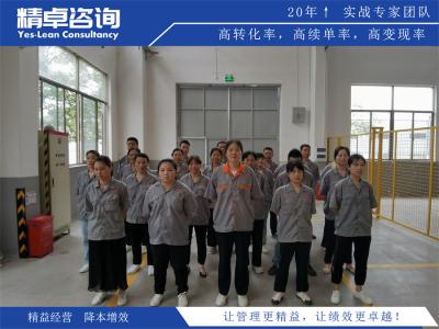 5S管理的基础是什么
