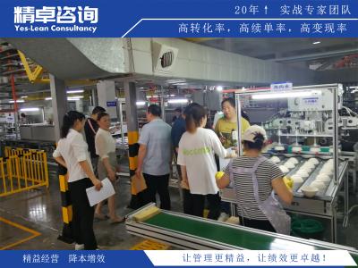 工厂管理制度优化与执行细则案例研究：构建高效生产体系的策略解析
