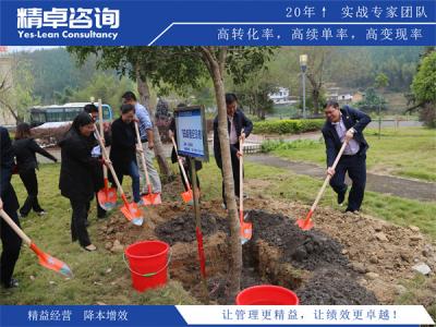 电缆生产厂家质量管理：精益管控模式与品质风险防控指南
