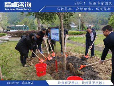 钢结构生产厂家质量管理：加工质控要点与通病整改方案