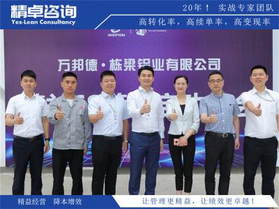工业生产线质量管理实施方案：以精益生产管理咨询消除浪费与稳定流程