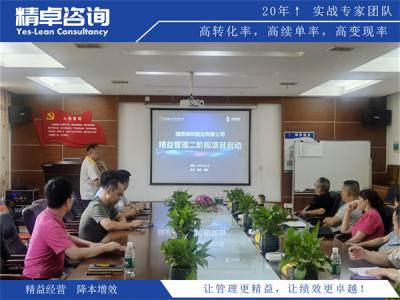 内存生产厂家降本增效：从晶圆良率到封装测试的精益实战路径